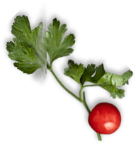 The Port of Peri Peri