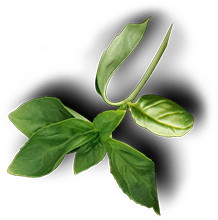 The Port of Peri Peri